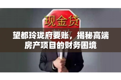 望都玲珑府要账，揭秘高端房产项目的财务困境