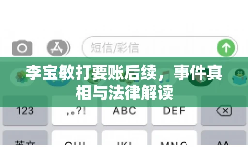 李宝敏打要账后续，事件真相与法律解读