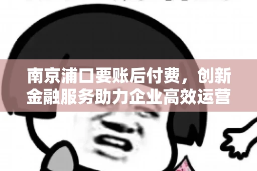 南京浦口要账后付费，创新金融服务助力企业高效运营