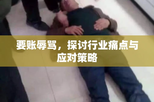 要账辱骂，探讨行业痛点与应对策略