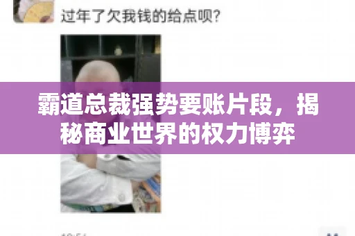 霸道总裁强势要账片段，揭秘商业世界的权力博弈