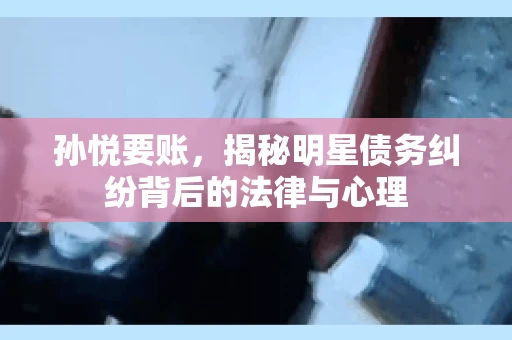 孙悦要账，揭秘明星债务纠纷背后的法律与心理
