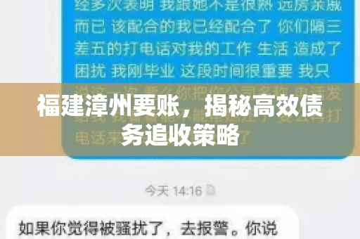 福建漳州要账，揭秘高效债务追收策略