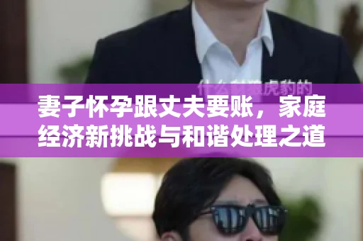 妻子怀孕跟丈夫要账，家庭经济新挑战与和谐处理之道
