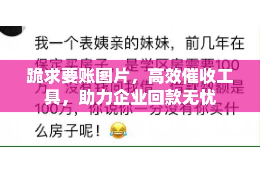 跪求要账图片，高效催收工具，助力企业回款无忧