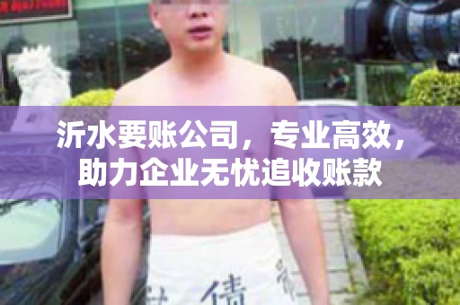 沂水要账公司，专业高效，助力企业无忧追收账款