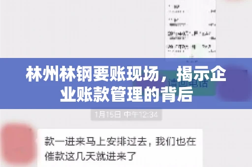 林州林钢要账现场，揭示企业账款管理的背后