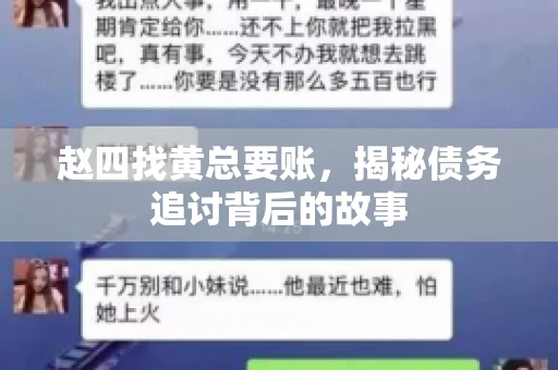 赵四找黄总要账，揭秘债务追讨背后的故事