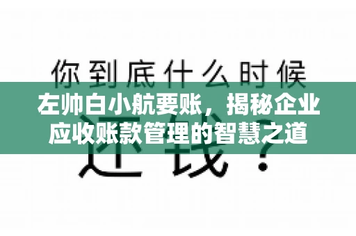 左帅白小航要账，揭秘企业应收账款管理的智慧之道