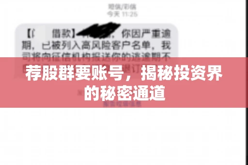 荐股群要账号，揭秘投资界的秘密通道