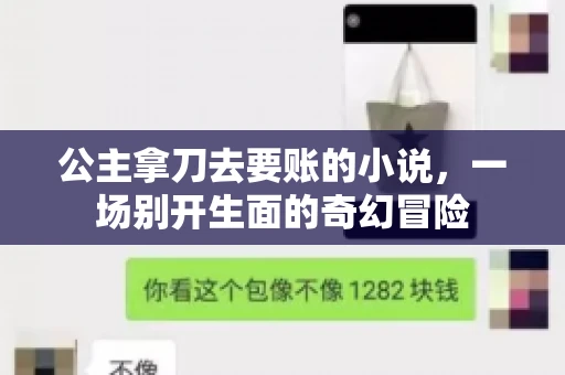 公主拿刀去要账的小说，一场别开生面的奇幻冒险