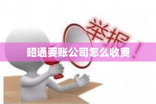 昭通要账公司怎么收费