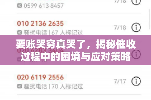 要账哭穷真哭了，揭秘催收过程中的困境与应对策略
