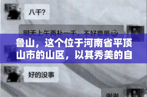鲁山，这个位于河南省平顶山市的山区，以其秀美的自然风光和丰富的矿产资源而闻名。然而，在商业活动中，难免会遇到一些欠款问题。那么，鲁山有没有要账公司呢？今天，我们就来聊聊这个话题。