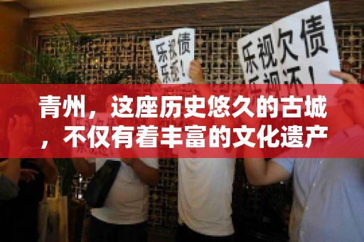 青州，这座历史悠久的古城，不仅有着丰富的文化遗产，还有着繁忙的经济活动。在商业往来中，难免会遇到一些欠款问题，这时候，找一家专业的要账公司就显得尤为重要。那么，青州有帮人要账的吗？答案是肯定的。下面，我就来为大家详细介绍一下青州地区的要账服务。