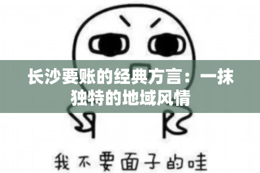 长沙要账的经典方言：一抹独特的地域风情