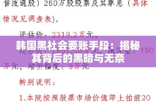 韩国黑社会要账手段：揭秘其背后的黑暗与无奈