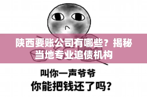 陕西要账公司有哪些？揭秘当地专业追债机构