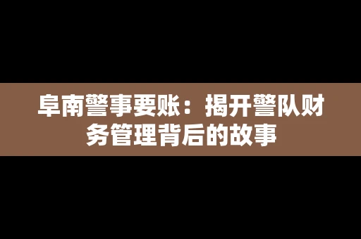 阜南警事要账：揭开警队财务管理背后的故事