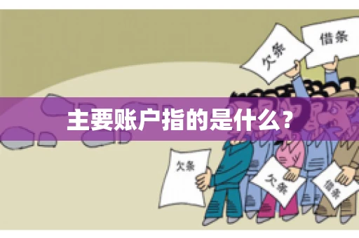 主要账户指的是什么？