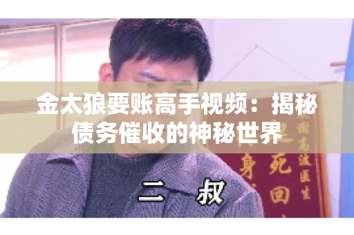 金太狼要账高手视频：揭秘债务催收的神秘世界