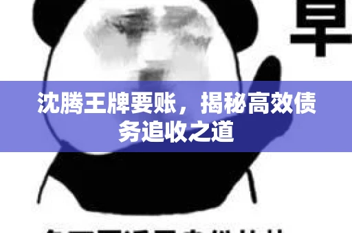 沈腾王牌要账,揭秘高效债务追收之道 沈腾王牌要账,揭秘高效债务追收之道