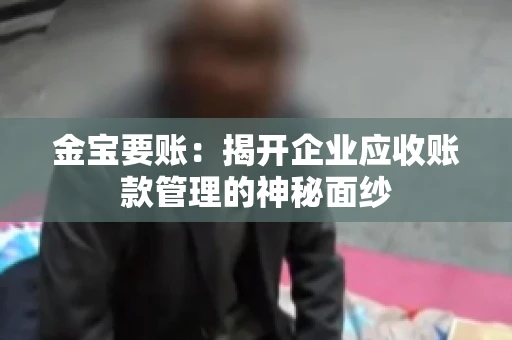 金宝要账：揭开企业应收账款管理的神秘面纱
