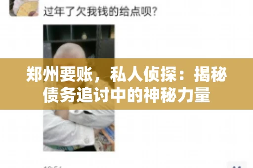 郑州要账，私人侦探：揭秘债务追讨中的神秘力量