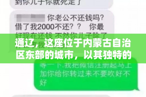 通辽，这座位于内蒙古自治区东部的城市，以其独特的地理位置和丰富的自然资源而闻名。然而，对于许多企业来说，通辽的另一个重要角色可能是其作为要账公司的聚集地。那么，通辽究竟有几家要账公司呢？今天，我们就来聊聊这个话题。
