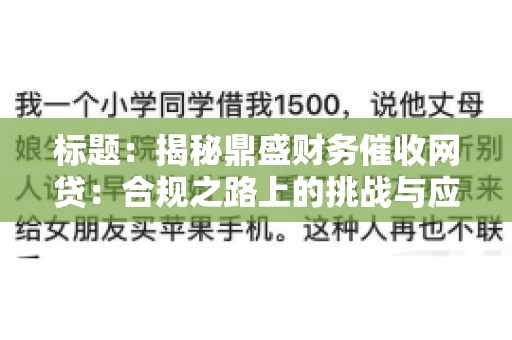 标题：揭秘鼎盛财务催收网贷：合规之路上的挑战与应对