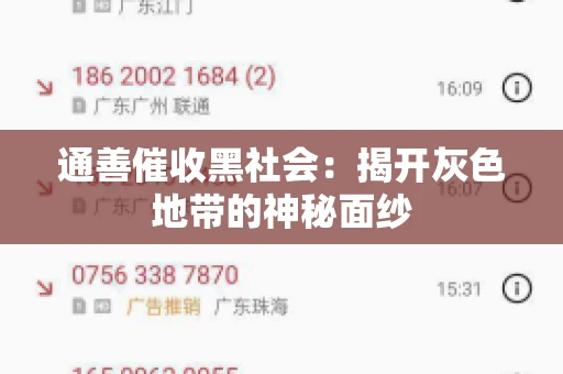 通善催收黑社会：揭开灰色地带的神秘面纱