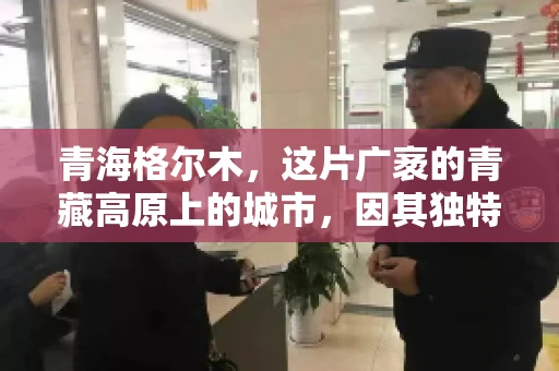 青海格尔木，这片广袤的青藏高原上的城市，因其独特的地理位置和丰富的自然资源而闻名。然而，对于一些借款人来说，这里可能因为逾期还款而接到催收电话。那么，青海格尔木的催收电话是哪家公司的呢？今天，我们就来聊聊这个话题。