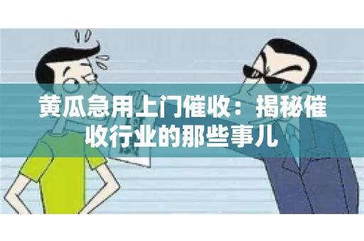 黄瓜急用上门催收：揭秘催收行业的那些事儿