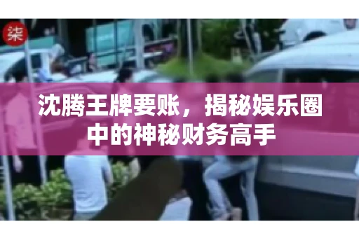 沈腾王牌要账，揭秘娱乐圈中的神秘财务高手