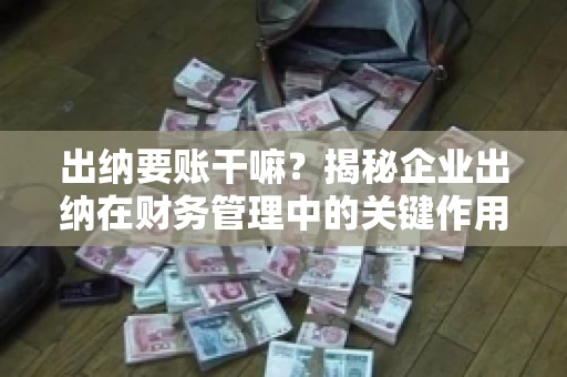 出纳要账干嘛？揭秘企业出纳在财务管理中的关键作用