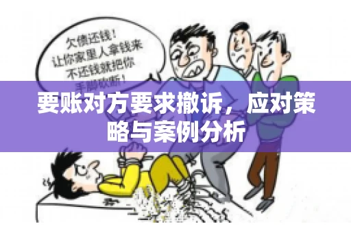 要账对方要求撤诉，应对策略与案例分析